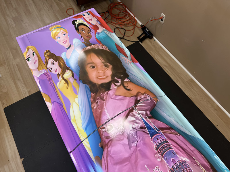 Disney Princesses Casket